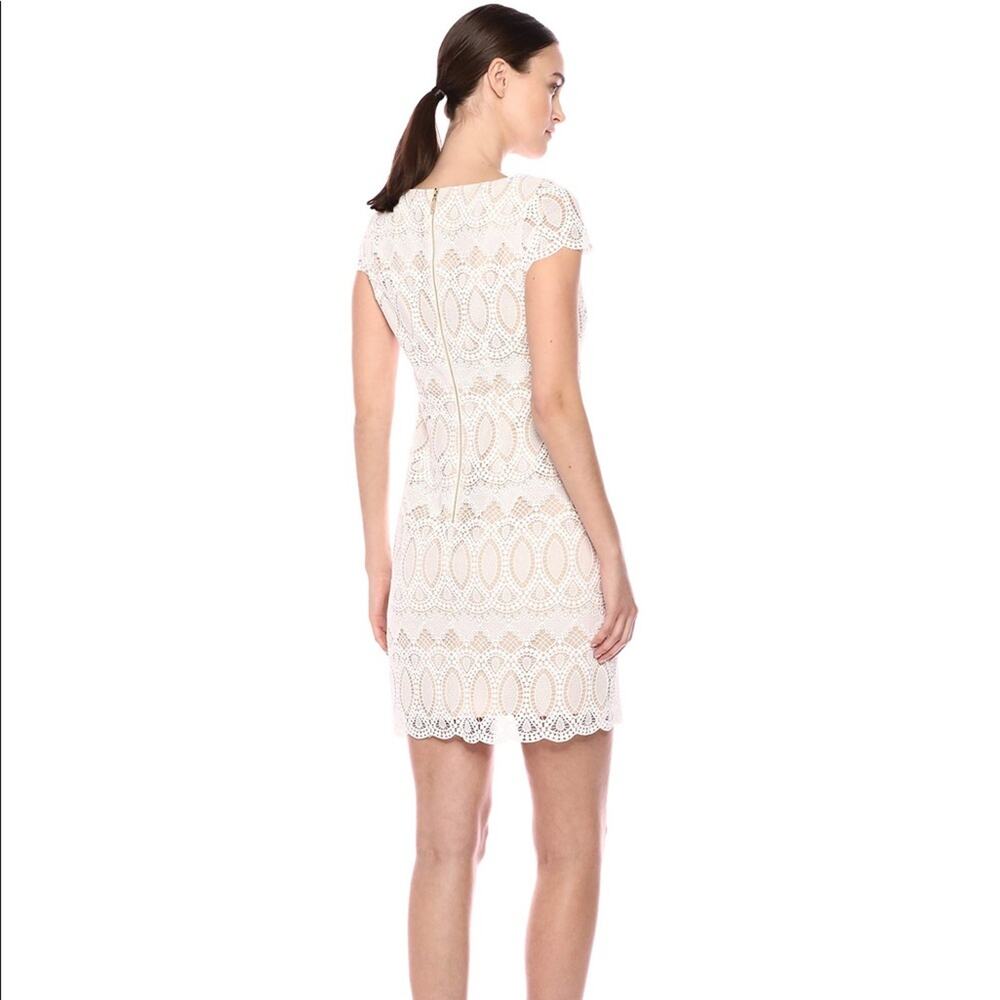 Eliza‎ J Cap Sleeve Lace Shift Dress in Pink.
